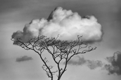 M Stone Cloud Catcher B&W