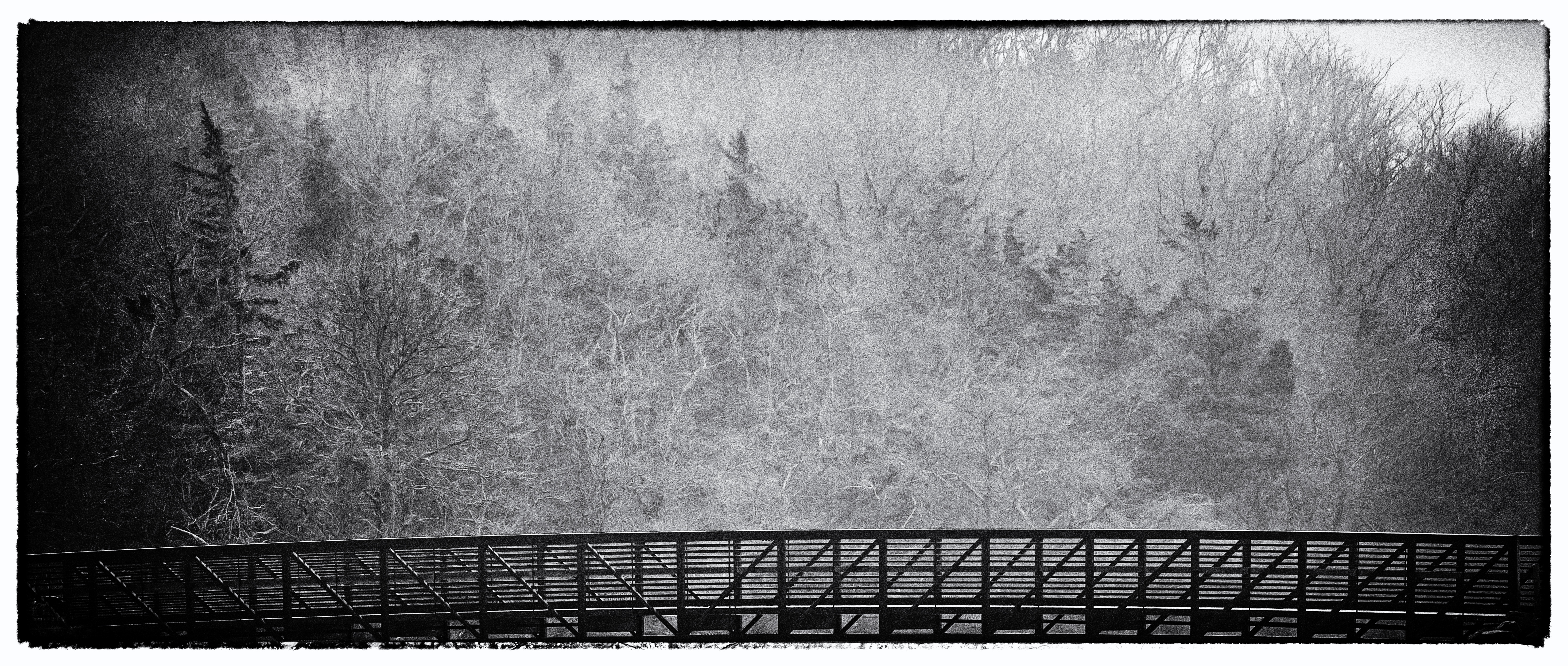 sunken-Meadow-Bridge-in-Fog