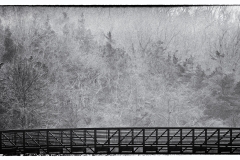 sunken-Meadow-Bridge-in-Fog