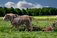 Amish-Boy-Cutting-Grass