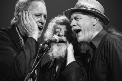 Chapin Brothers and Bass Player